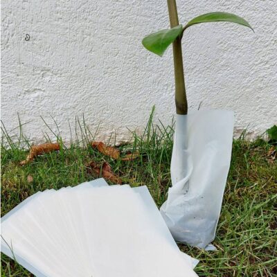 NaKu Bio-Pflanzensack aus Biokunststoff aufgefächert in der Wiese neben einem Feigenbaum.