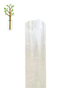 Biologisch abbaubare und lichtdurchlässige Baumschutzhülle aus Biokunststoff